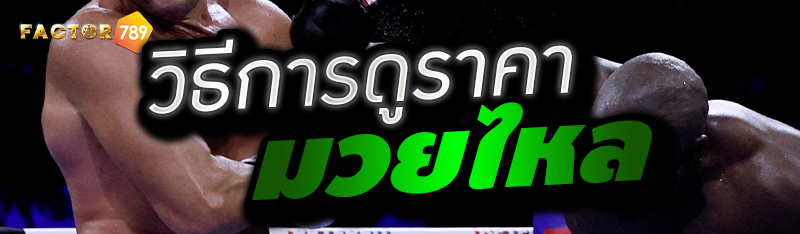 วิธีการดูราคามวยไหล 