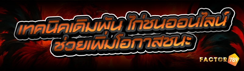เทคนิคเดิมพัน ไก่ชนออนไลน์ ช่วยเพิ่มโอกาสชนะ